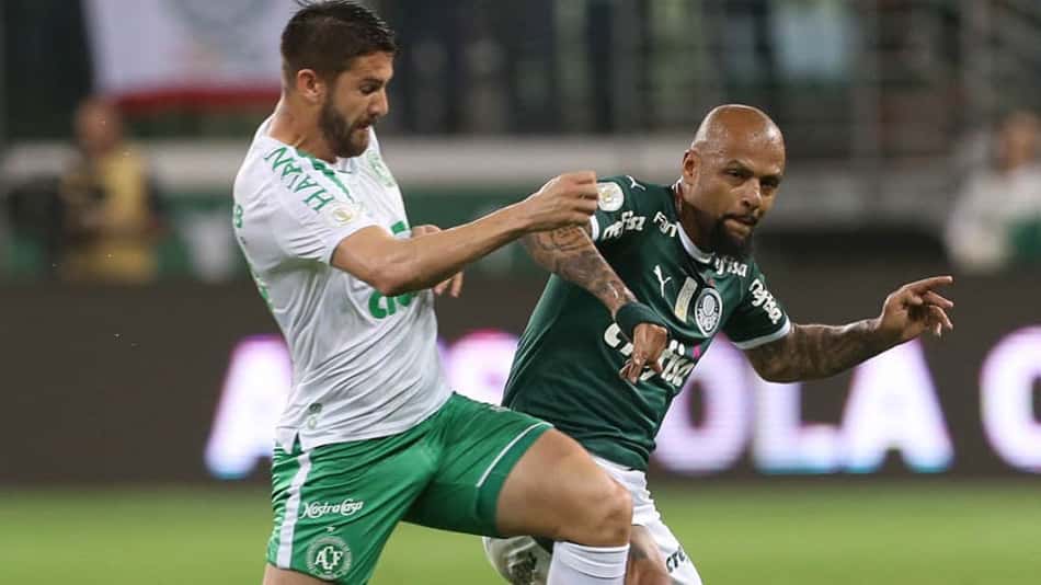Palmeiras x Chapecoense: onde assistir ao duelo pelo Brasileirão, arbitragem e escalações