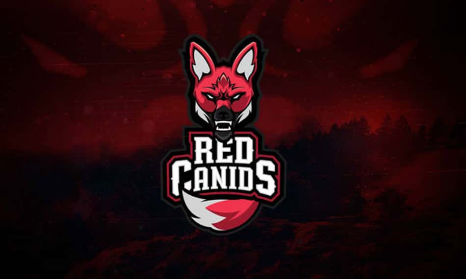 Free Fire: Capitão e UmaNoob são contratados pela RED