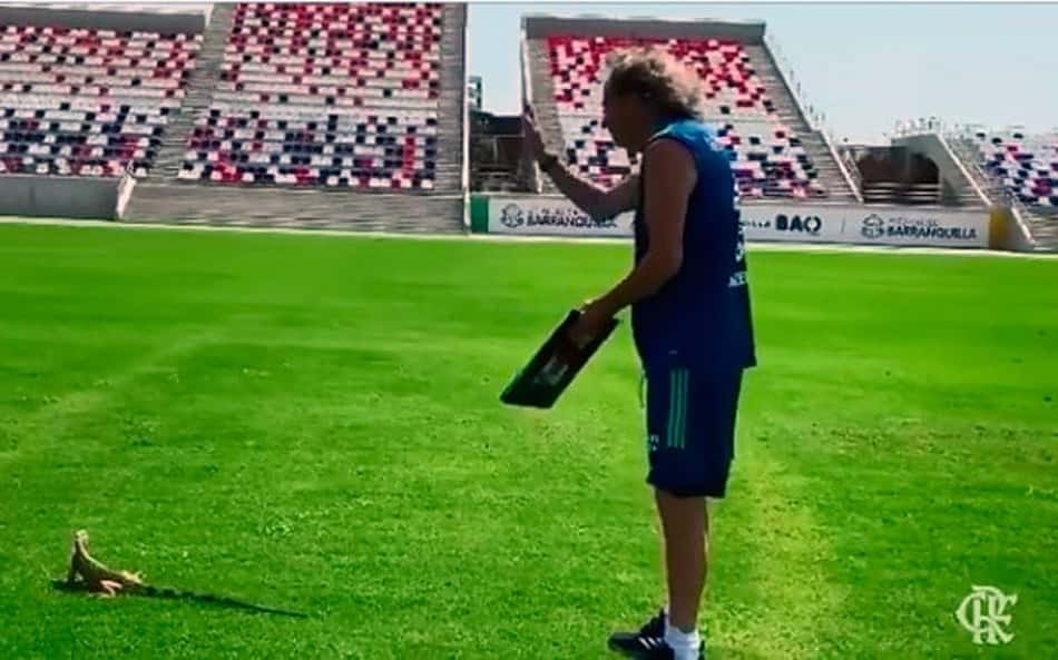 'Espião' e 'novo reforço'! Torcedores brincam com Jorge Jesus afastando lagarto em treino na Colômbia