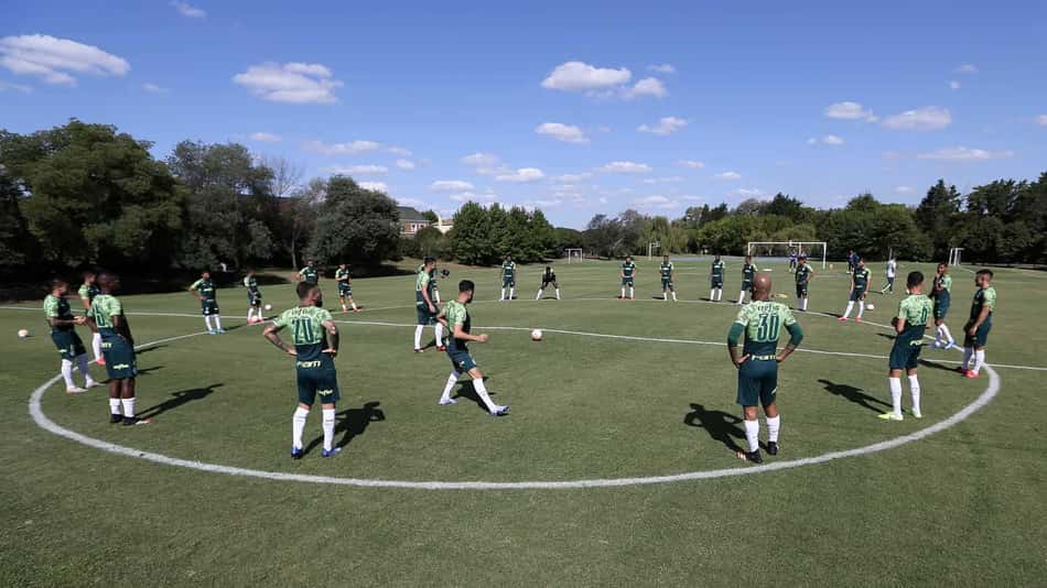 Palmeiras