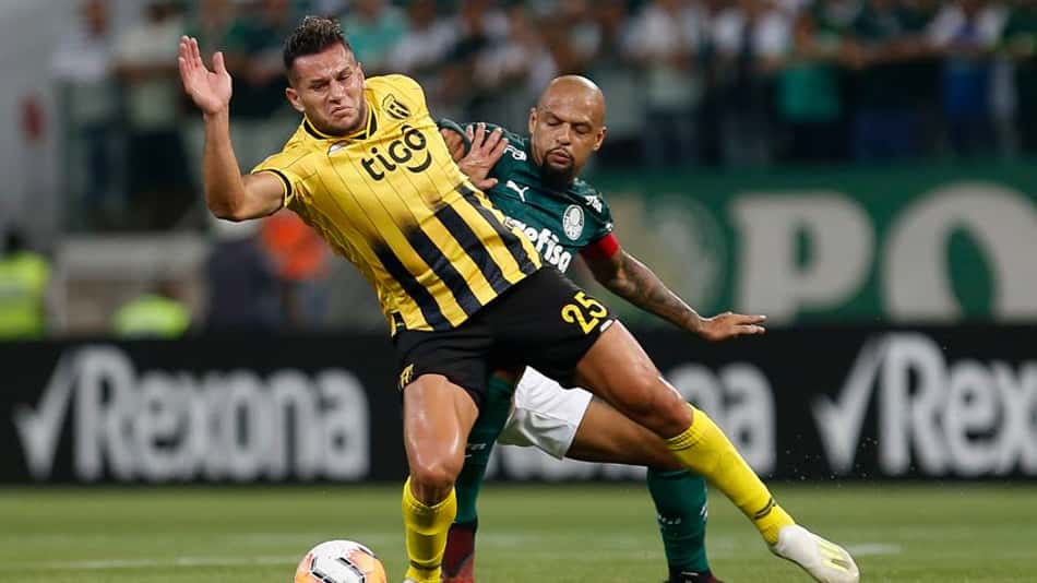 Com novidade no elenco e 100% em casa, Guaraní recebe Palmeiras