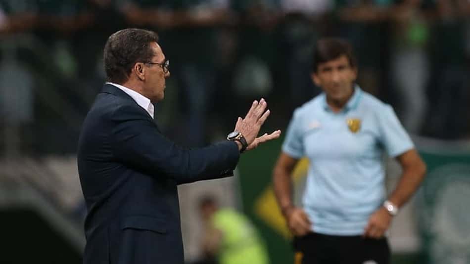 Luxemburgo divulga vídeo elogiando Palmeiras e alertando para pandemia