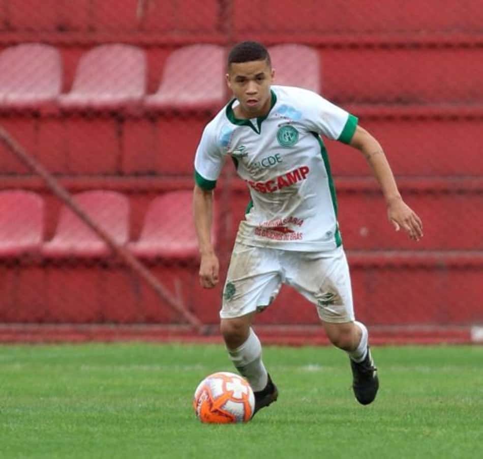 Kaio - Guarani