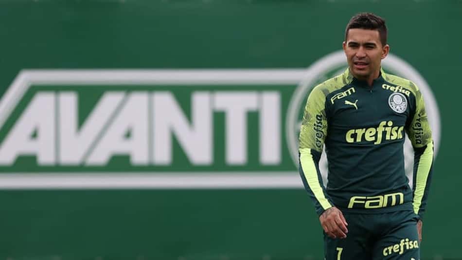 Dudu Palmeiras