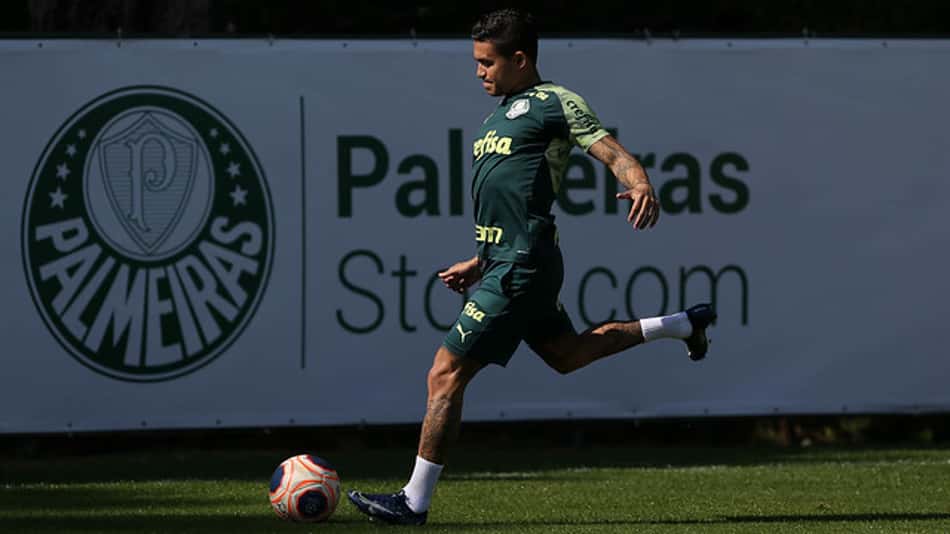 Dudu Palmeiras