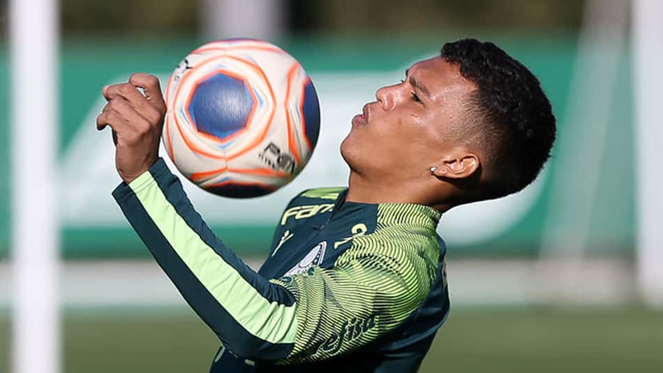 Gabriel Veron Palmeiras