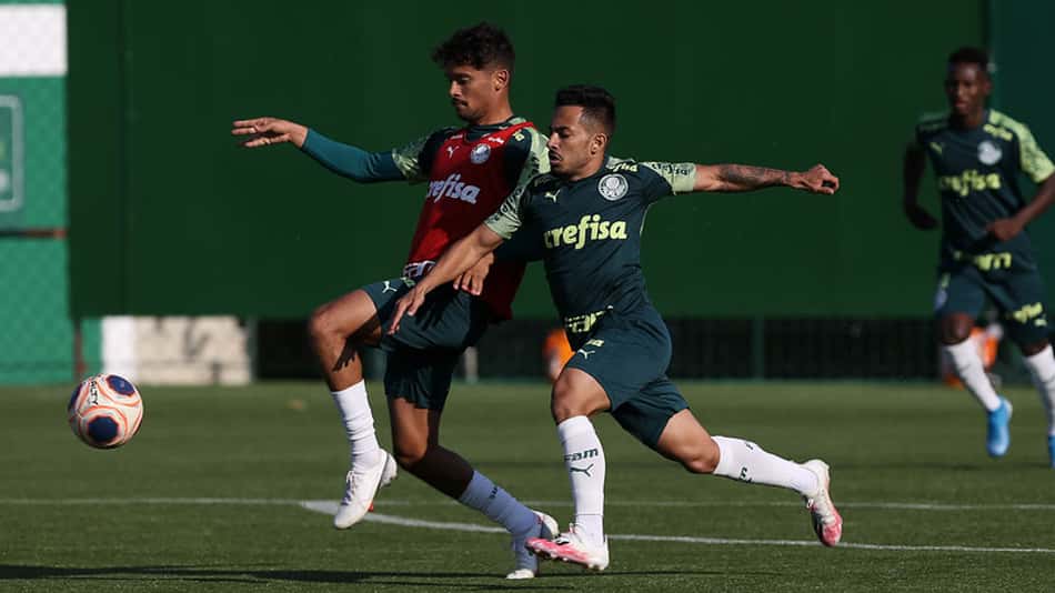 Palmeiras treino
