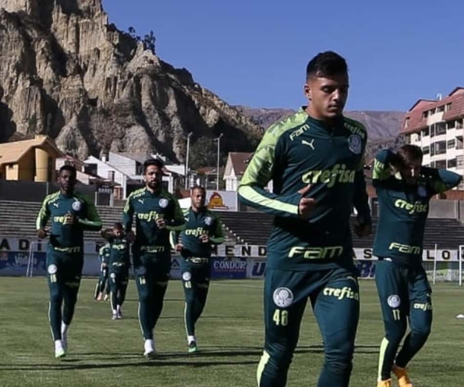 Palmeiras inscreve mais dez Crias da Academia na lista da Libertadores