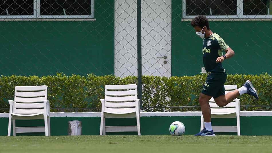 Marcos Rocha