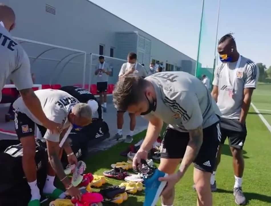 Tigres em treino no Qatar