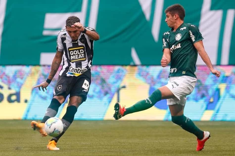 Rafael Navarro - Palmeiras x Botafogo