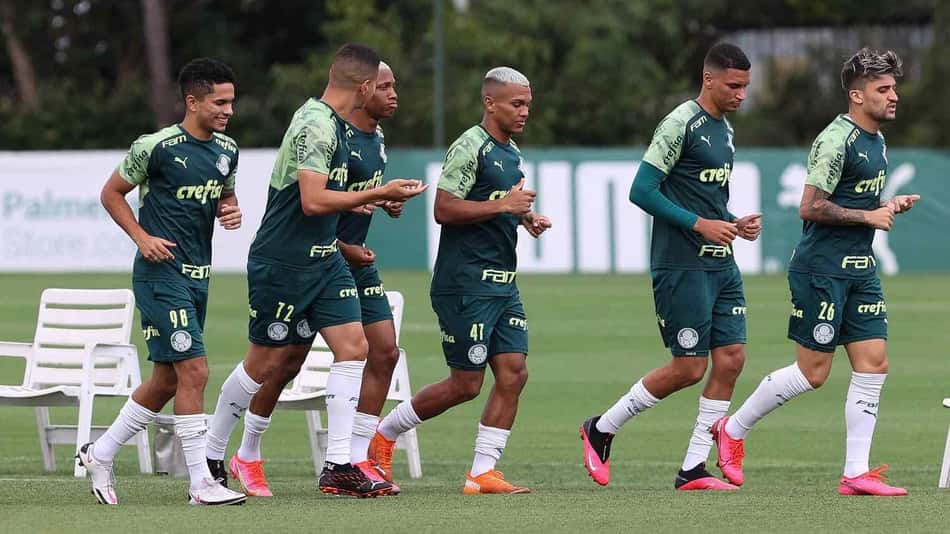 Palmeiras treino