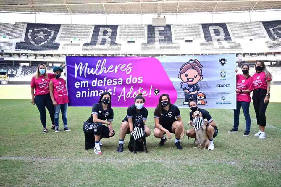 Brasileiro Feminino: Botafogo e São José participam de campanha para incentivar a adoção de animais