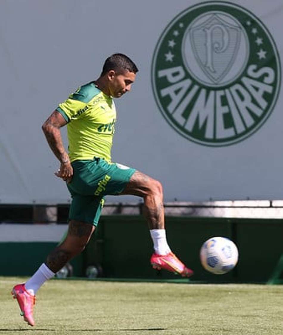 Boletim: Dudu treina no CT, Palmeiras de folga e auxiliares de Abel com família no Brasil