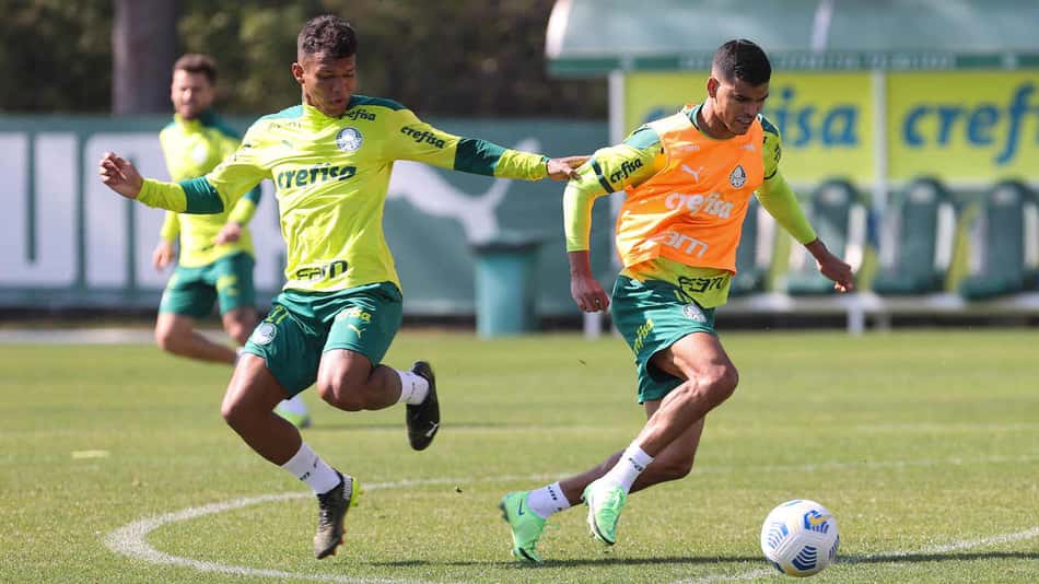 Palmeiras se reapresenta e inicia trabalhos visando oitavas da Libertadores
