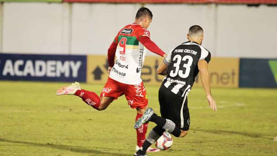 Botafogo x Brusque: prováveis escalações, desfalques e onde assistir