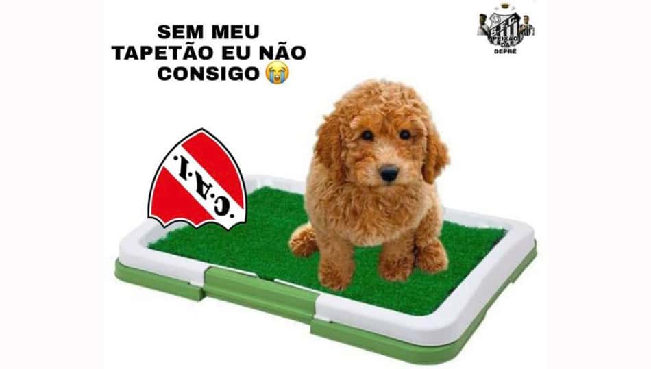 Classificação do Santos na Sul-Americana gera memes e provocações na web; confira
