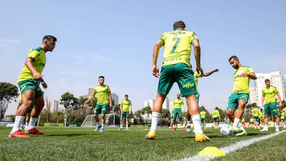 Palmeiras treino