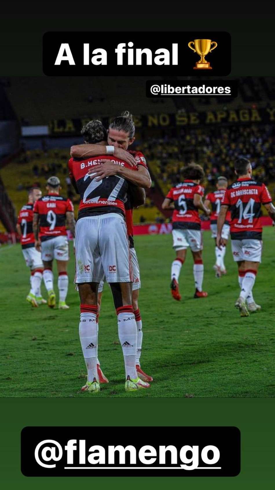 Story Arturo Vidal Flamengo