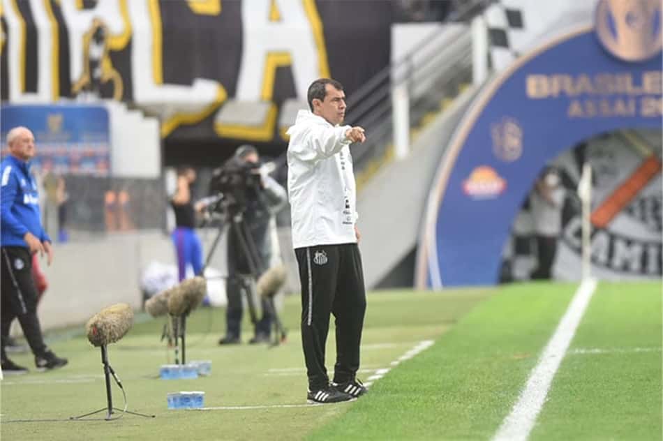 Fábio Carille - Santos x Grêmio