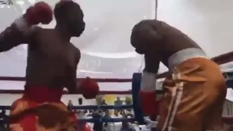 VÍDEO: Boxeador de 23 anos morre ao ser nocauteado em luta profissional; imagens fortes