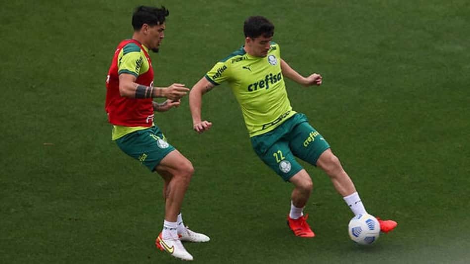 Palmeiras se reapresenta na Academia de Futebol com retornos de Gustavo Gómez e Piquerez