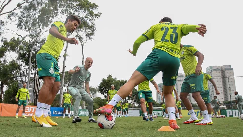 Palmeiras treino