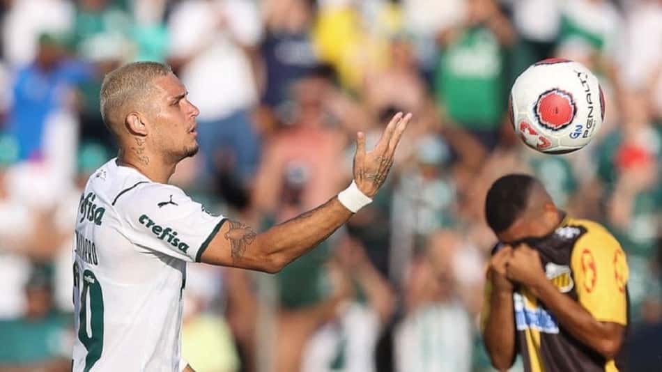 Rafael Navarro - Palmeiras