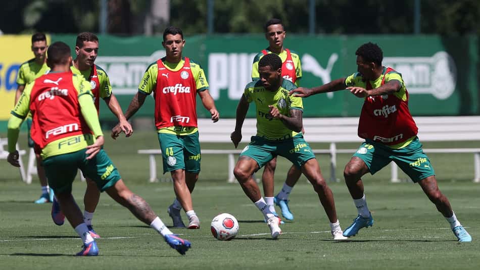 Treino Palmeiras