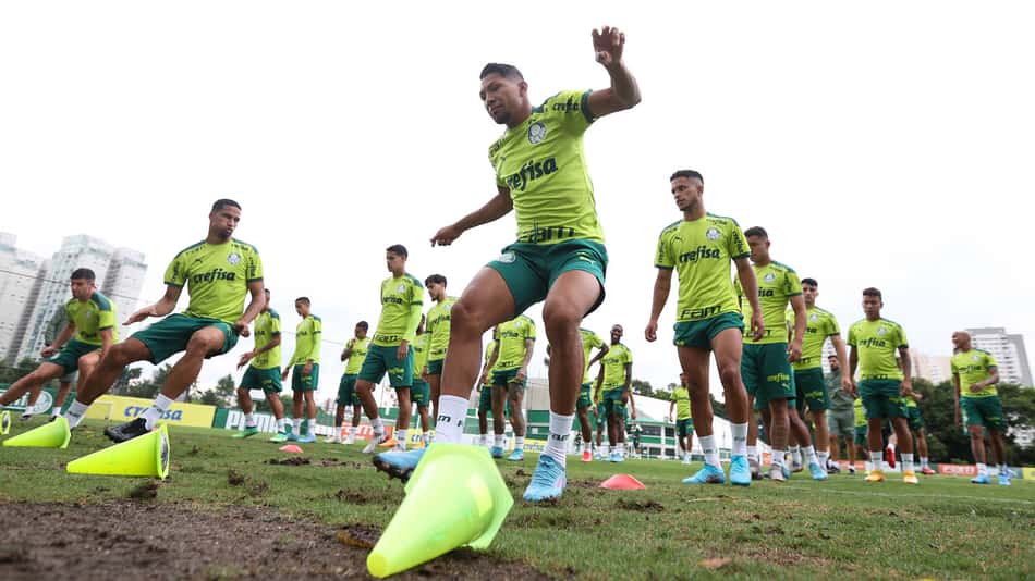 Rony Palmeiras