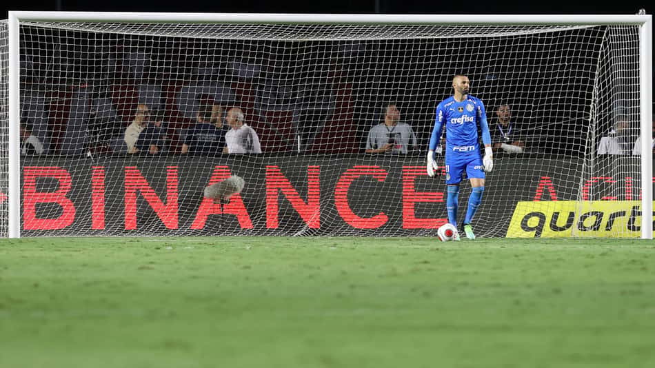 VÍDEO: Abel garante que Weverton estava apto para jogar e espera contar com Danilo em decisão