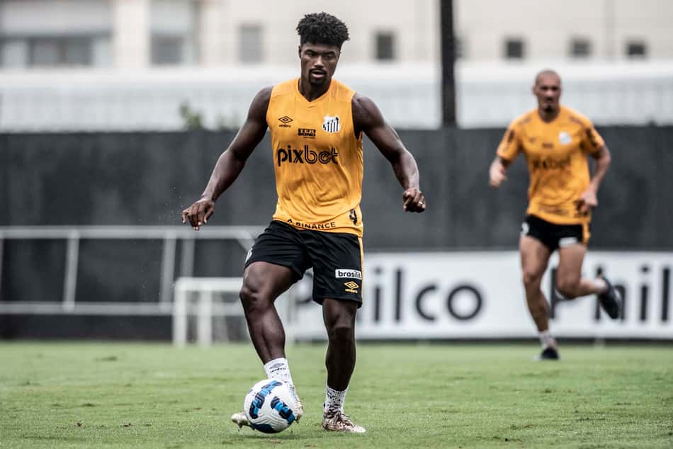 Bauermann - Santos