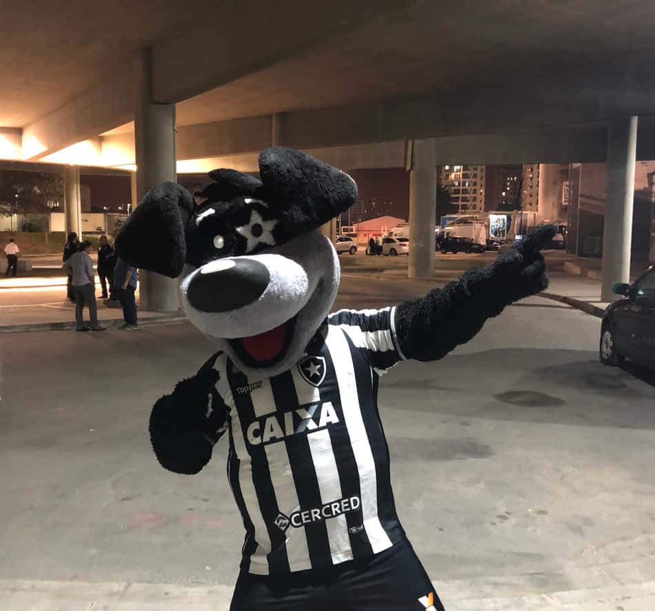 Áudio de torcedor zoando mascote do Botafogo viraliza na web