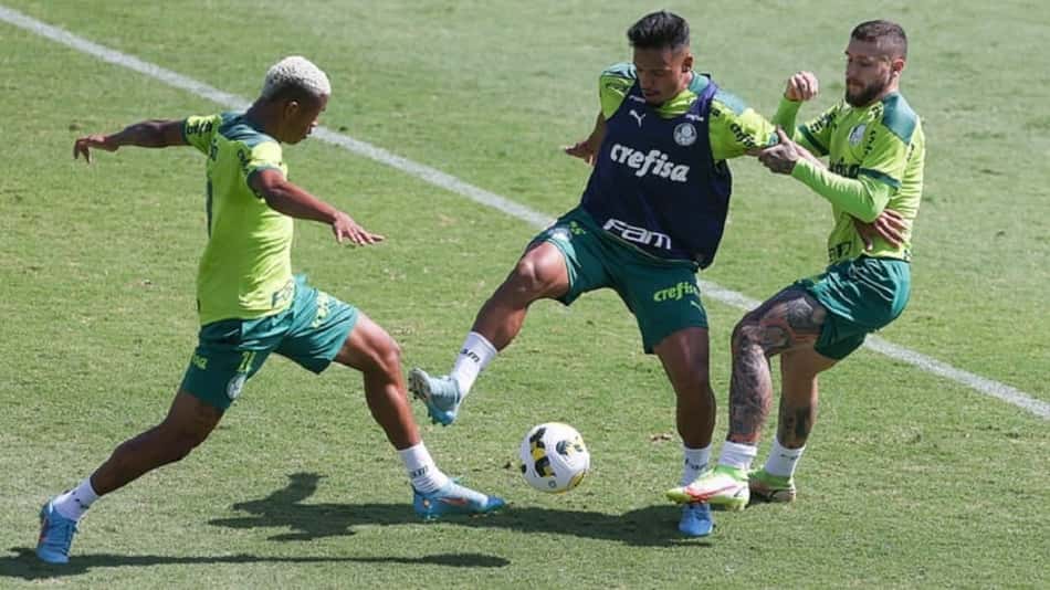 Treino Palmeiras