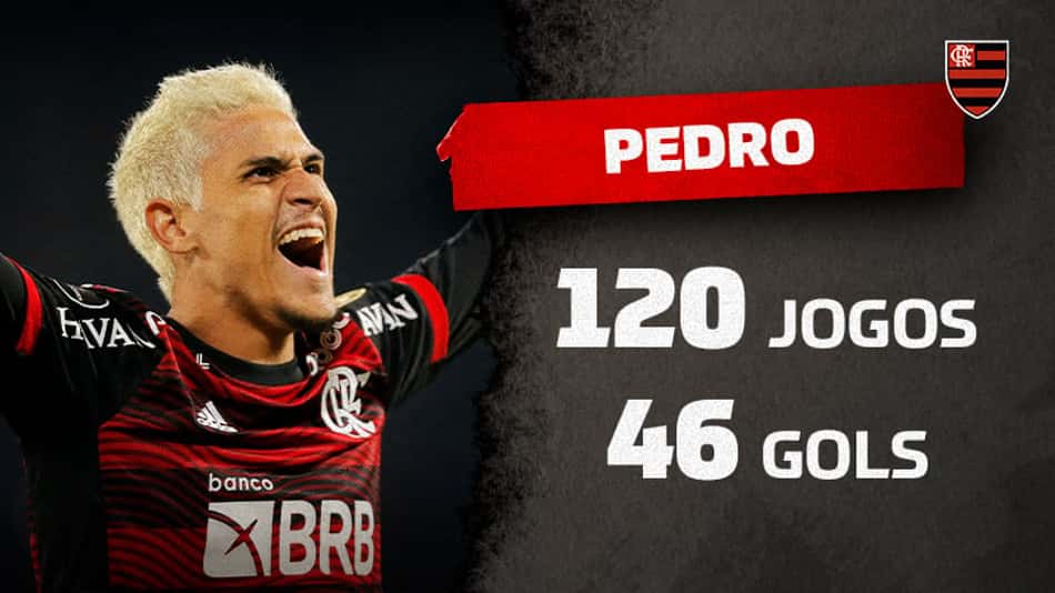 Com média próxima à de Gabigol, Pedro sobe na artilharia do Flamengo no século