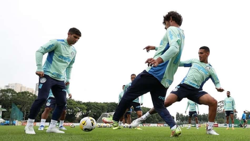 Treino Palmeiras