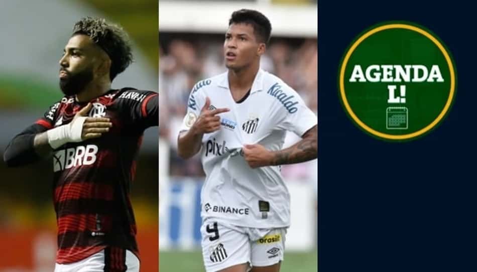 Libertadores, Sul-Americana, NBA… Saiba onde assistir aos eventos esportivos de terça-feira