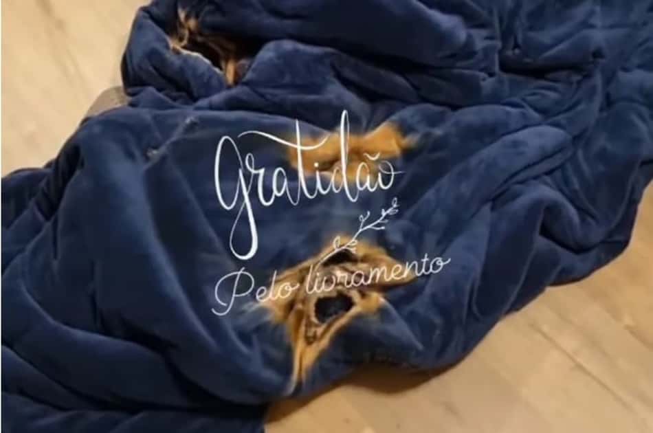 Sobrevivente de voo da Chapecoense fala de susto em casa com princípio de incêndio: 'Era para ter morrido'