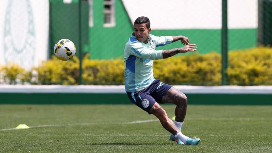 Palmeiras segue preparação para enfrentar o Atlético-MG no Brasileirão