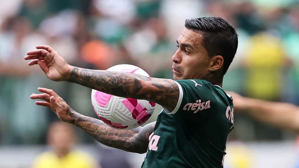 Palmeiras, Boca e mais: Veja quem são os líderes dos torneios nacionais na América