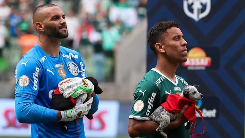 Weverton e Marcos Rocha podem comemorar marcas importantes pelo Palmeiras diante do Avaí