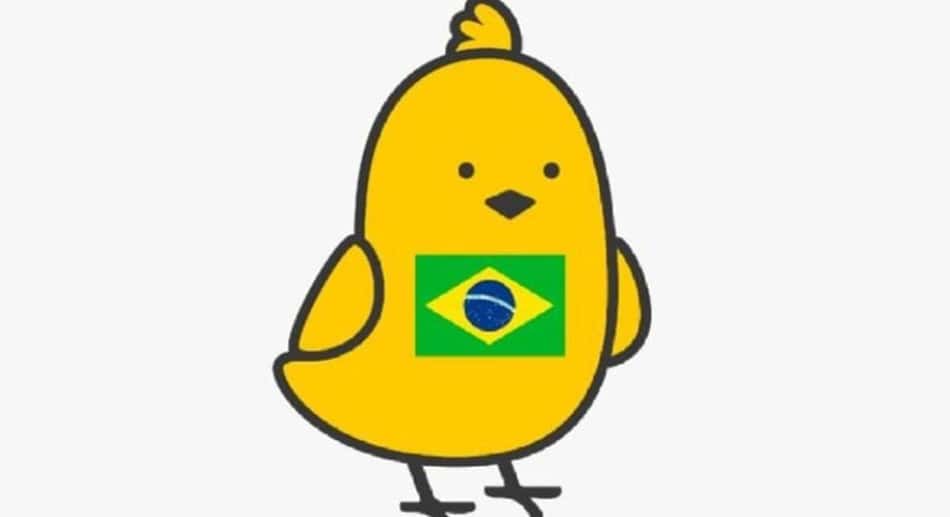 Usuários brasileiros fazem Koo torcer para a Seleção na Copa do Mundo