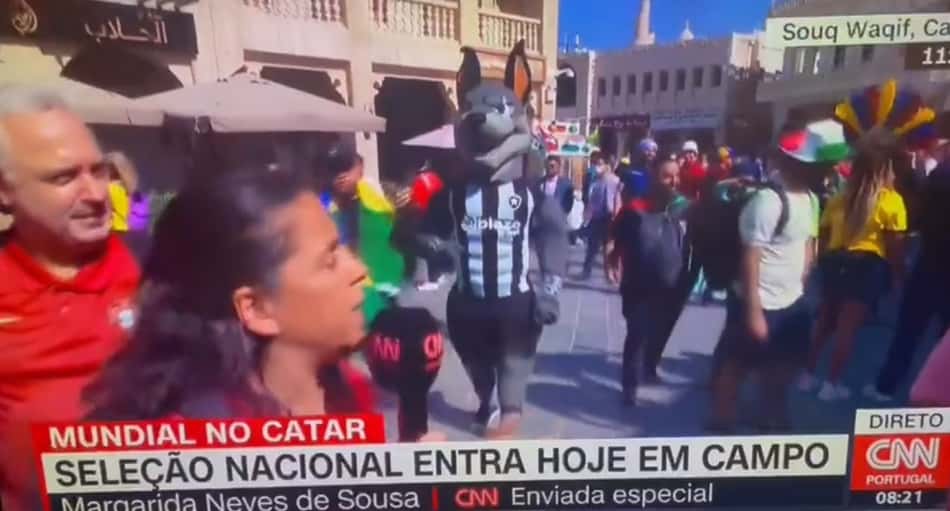 Mascote do Botafogo dá susto em jornalista durante entrevista no Qatar