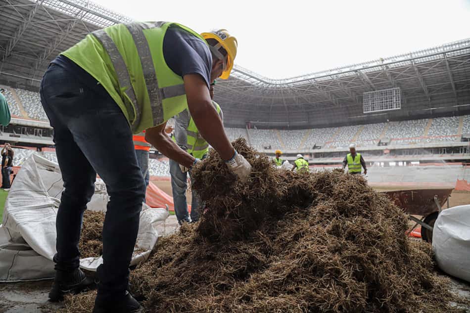 Gramado começa a ser plantado na Arena MRV, a nova casa do Galo