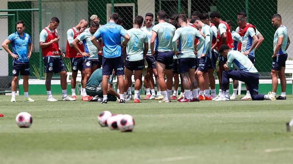 Palmeiras segue preparação para enfrentar o Botafogo-SP; veja provável time