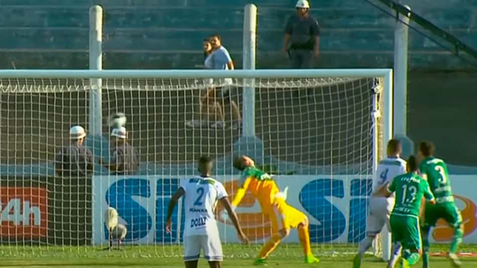 Palmeiras reencontra Água Santa: lembre o time do Verdão em goleada sofrida que ficou marcada