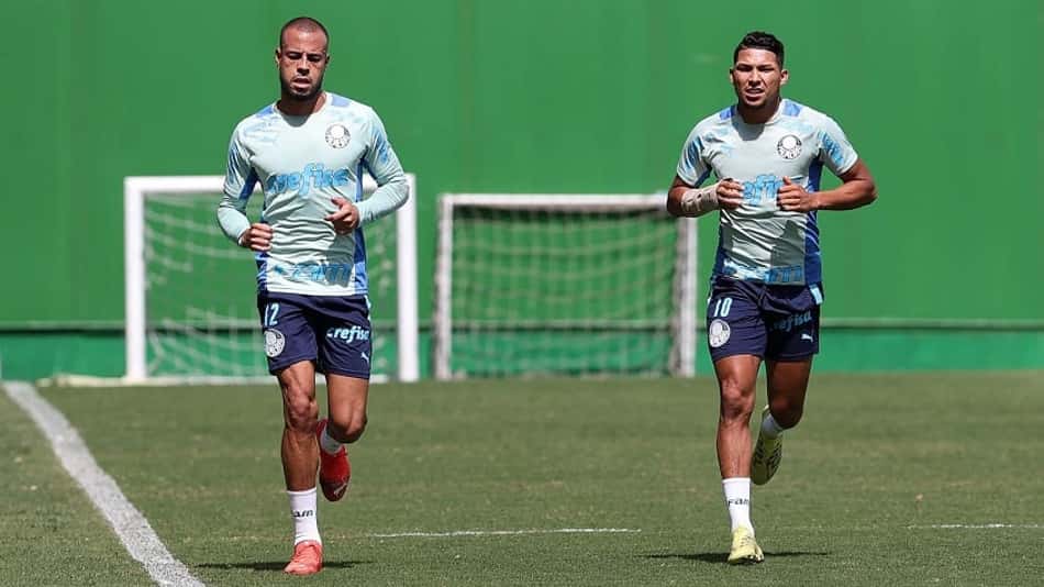 Palmeiras atualiza situação de machucados e inicia preparação para a Libertadores
