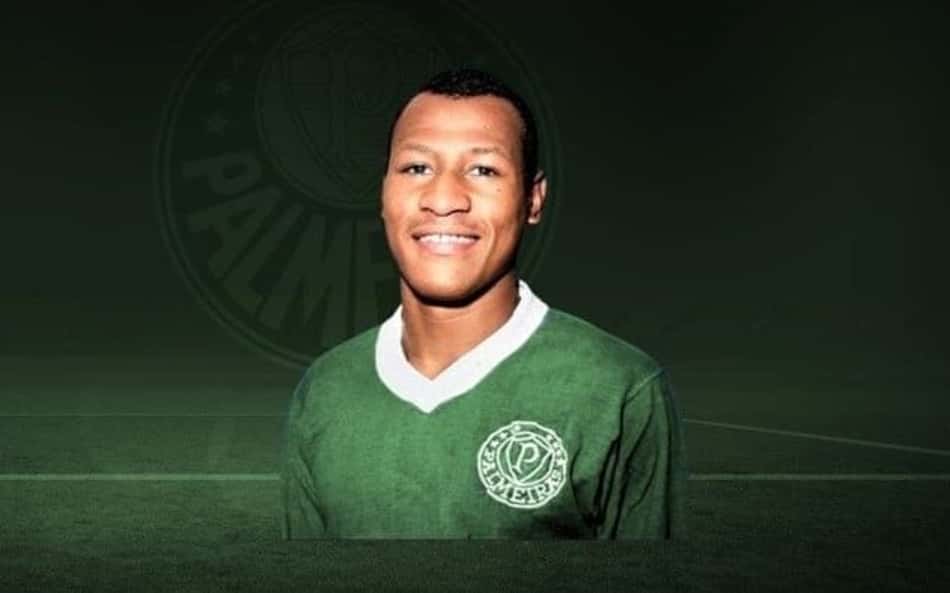 Edu Bala fala sobre jogar no elenco atual do Palmeiras: 'Espaço sempre tem, mas me sinto bem agora como torcedor'