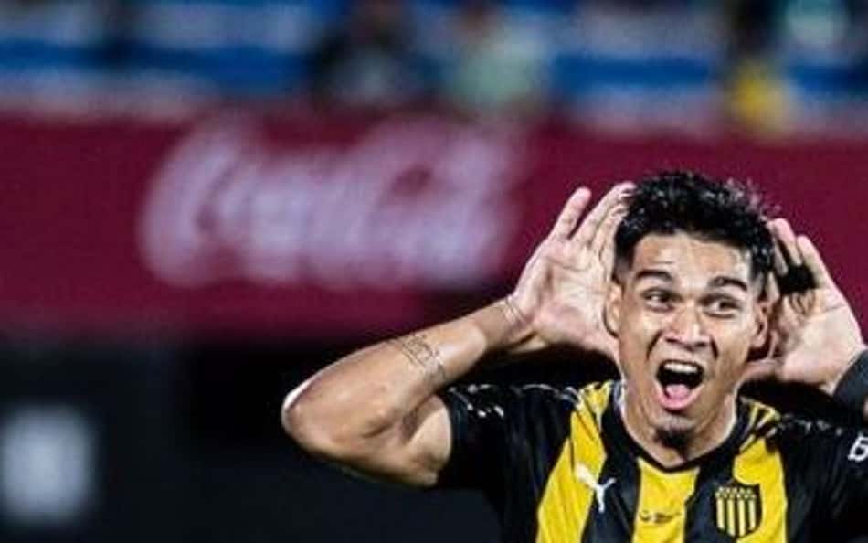 Confira quem já soltou o grito de campeão nacional na América