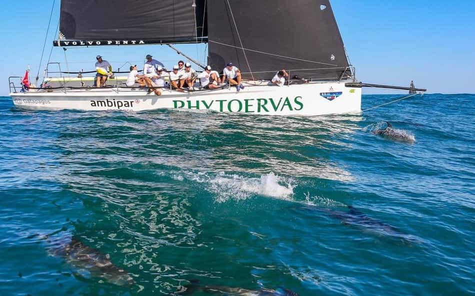 Ao lado de golfinhos, Phytoervas se destaca na estreia da Semana de Ilhabela